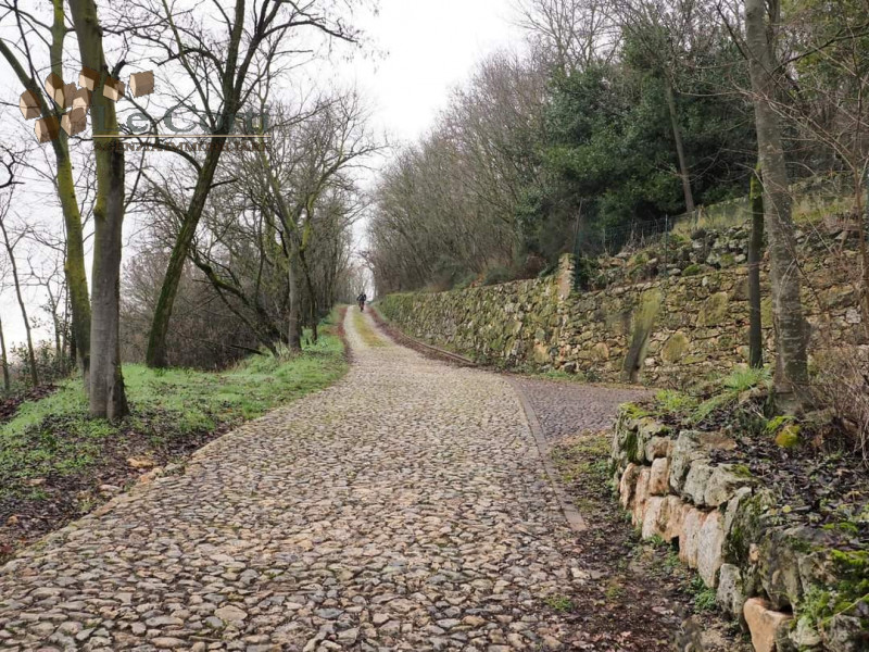 In una bellissima zona panoramica e soleggiata, posto ai piedi della collina proponiamo ampio app...