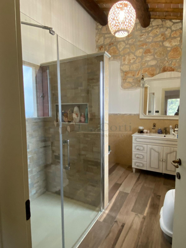 Meraviglioso rustico casale, posto in una posizione dominante e soleggiata nei Colli Berici. Ques...