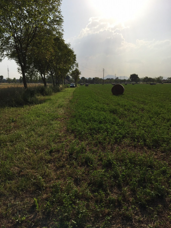 MASERA' DI PADOVA - proponiamo in vendita terreno agricolo di 16000MQ.

Terreno agricolo con acce...
