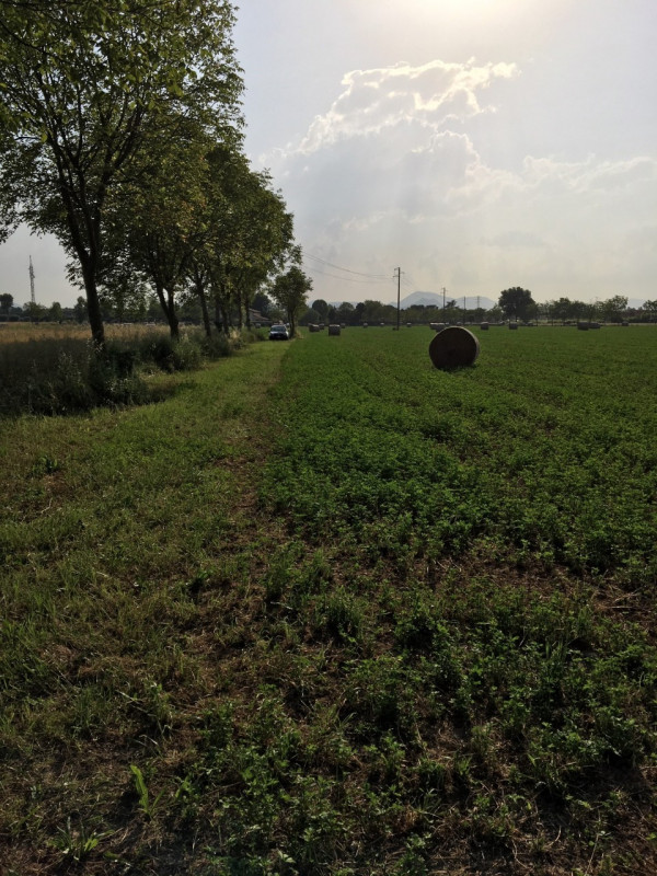 MASERA' DI PADOVA - proponiamo in vendita terreno agricolo di 16000MQ.

Terreno agricolo con acce...