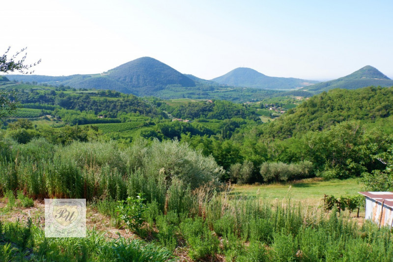Proponiamo in vendita a Valnogaredo Rustico al grezzo immerso nei COLLI EUGANEI di 300 mq, costru...