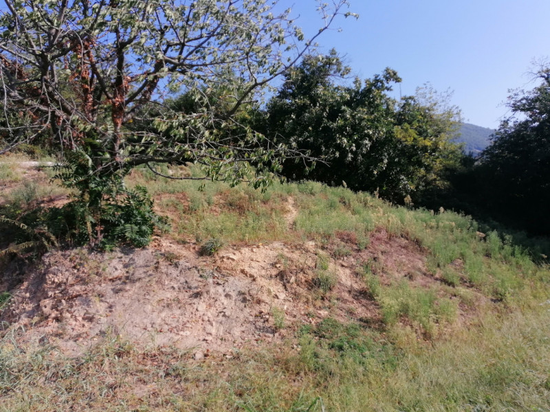 Proponiamo in vendita a Valnogaredo Rustico al grezzo immerso nei COLLI EUGANEI di 300 mq, costru...