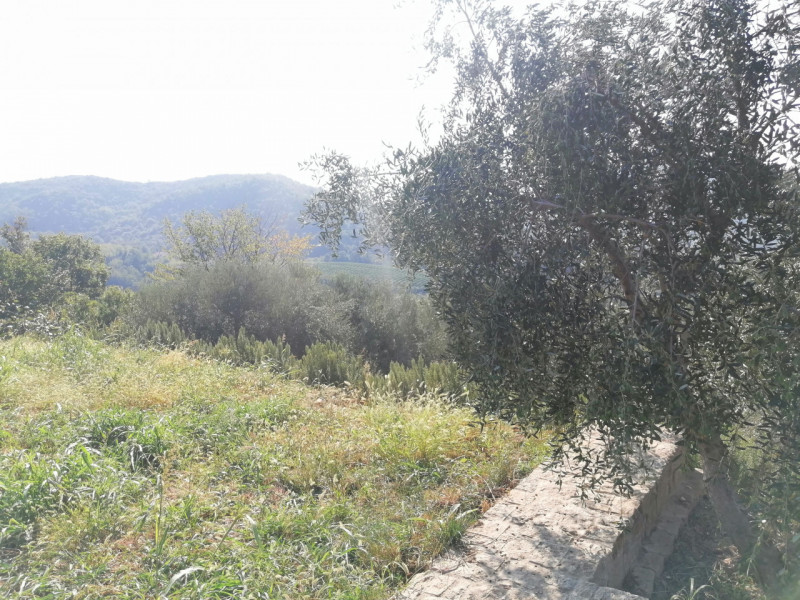 Proponiamo in vendita a Valnogaredo Rustico al grezzo immerso nei COLLI EUGANEI di 300 mq, costru...