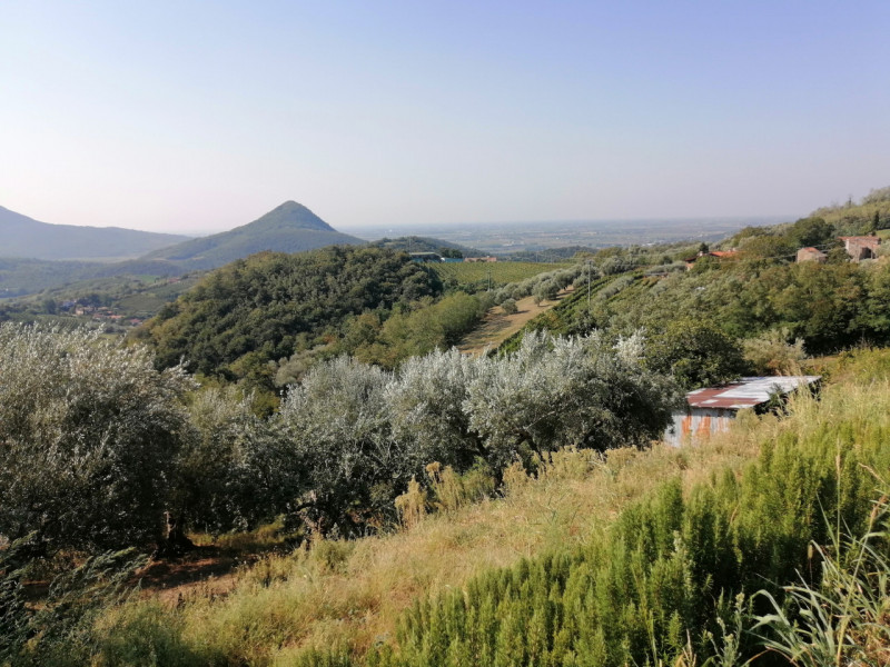Proponiamo in vendita a Valnogaredo Rustico al grezzo immerso nei COLLI EUGANEI di 300 mq, costru...