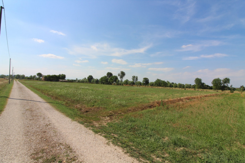 TERRENO AGRICOLO IN VENDITA A CASELLE DI SELVAZZANO – POSIZIONE STRATEGICA E PANORAMICA

Nel cuor...