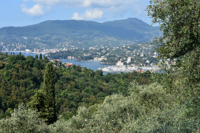 Villa in vendita a Sant'ambrogio, Zoagli (GE)