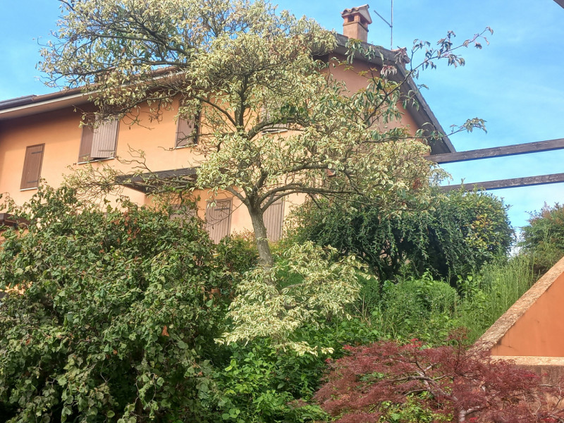 MONTEVIALE: VILLETTA D'ANGOLO NON ARREDATA CON TRE CAMERE, GIARDINO ESCLUSIVO E GARAGE DOPPIO, EU...