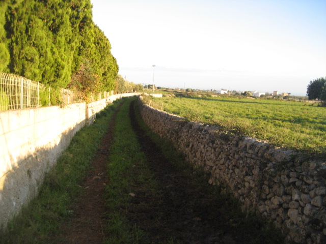 immagine annuncio 1 di 8