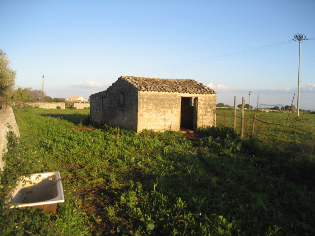 immagine annuncio 2 di 8