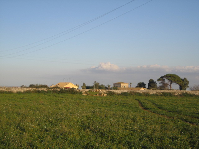 immagine annuncio 5 di 8