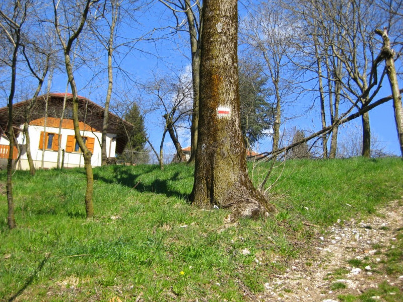 Sull'Altopiano di ASIAGO, in zona TRESCHE' CONCA di Roana, 
proponiamo una casa indipendente di c...
