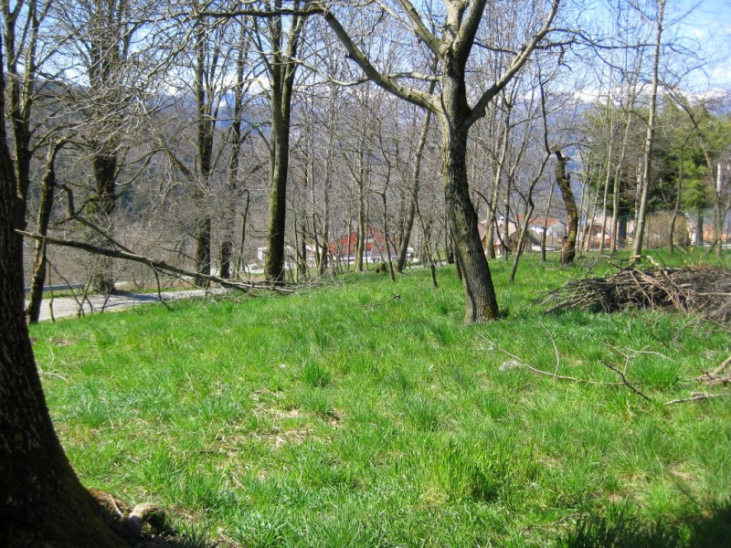 Sull'Altopiano di ASIAGO, in zona TRESCHE' CONCA di Roana, 
proponiamo una casa indipendente di c...