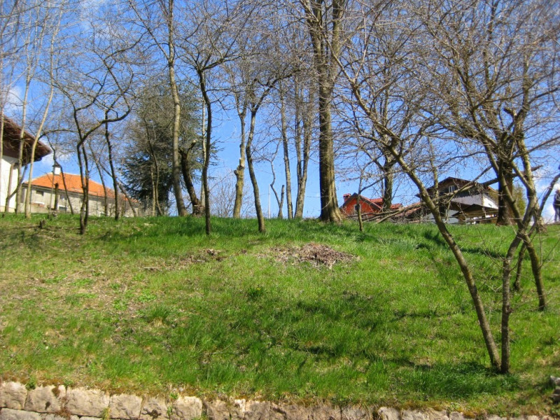 Sull'Altopiano di ASIAGO, in zona TRESCHE' CONCA di Roana, 
proponiamo una casa indipendente di c...