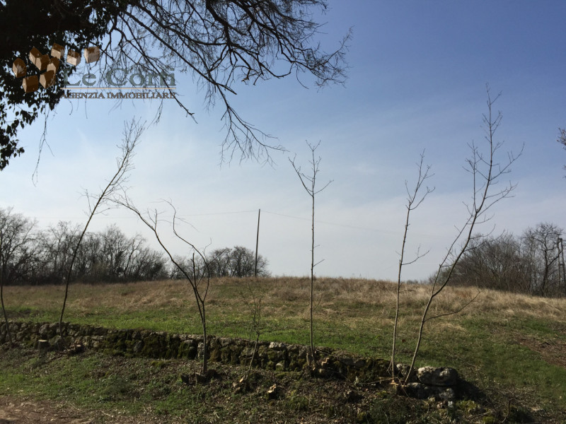 Bellissimo rustico casale di 700 mq da ristrutturare in una posizione panoramica e isolata nella ...