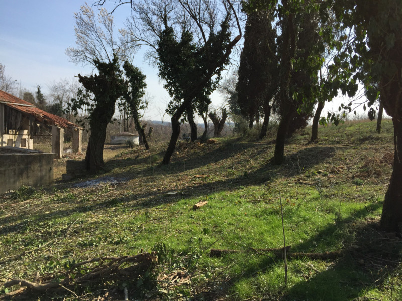 Bellissimo rustico casale di 700 mq da ristrutturare in una posizione panoramica e isolata nella ...