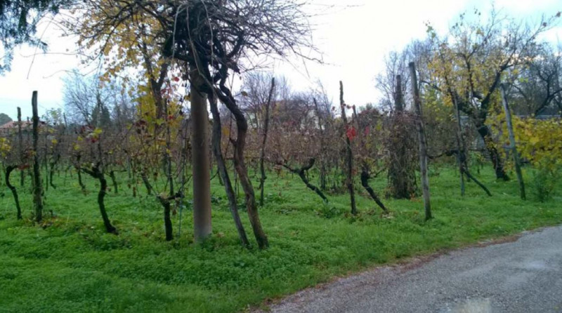 RIF. A.A.359-15
                                                                                 ...