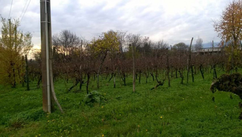 RIF. A.A.359-15
                                                                                 ...