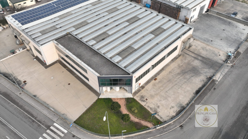 Proponiamo in locazione capannone ad uso artigianale di circa 1500 mq utili e 200 mq adibiti ad u...