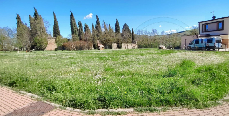 Terreni agricoli in Vendita a Brisighella