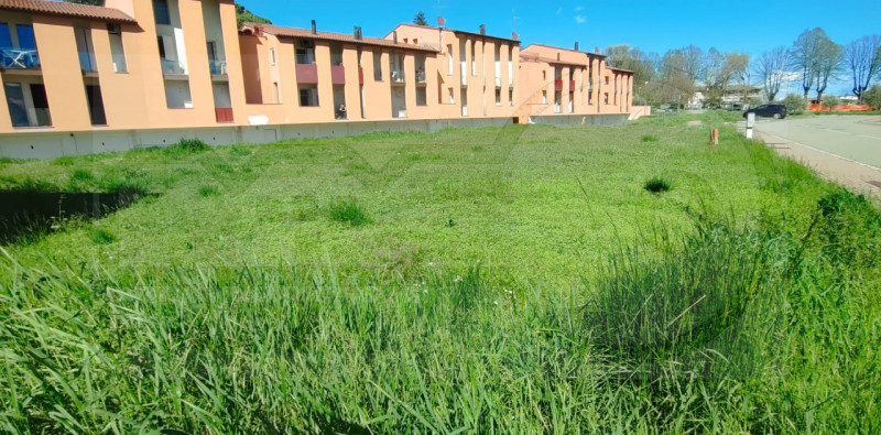 Terreni agricoli in Vendita a Brisighella