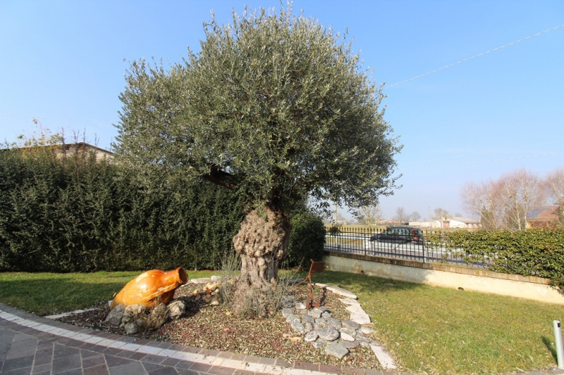 In località Trambacche, tranquilla e verdeggiante frazione del Comune di Veggiano, immersa nel cu...