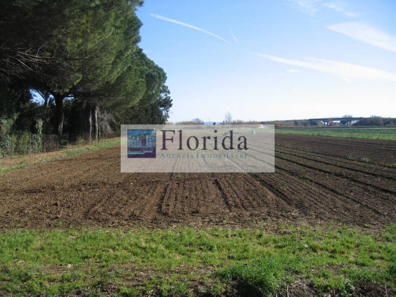 VENDITE Terreni a Vigonza – foto 1