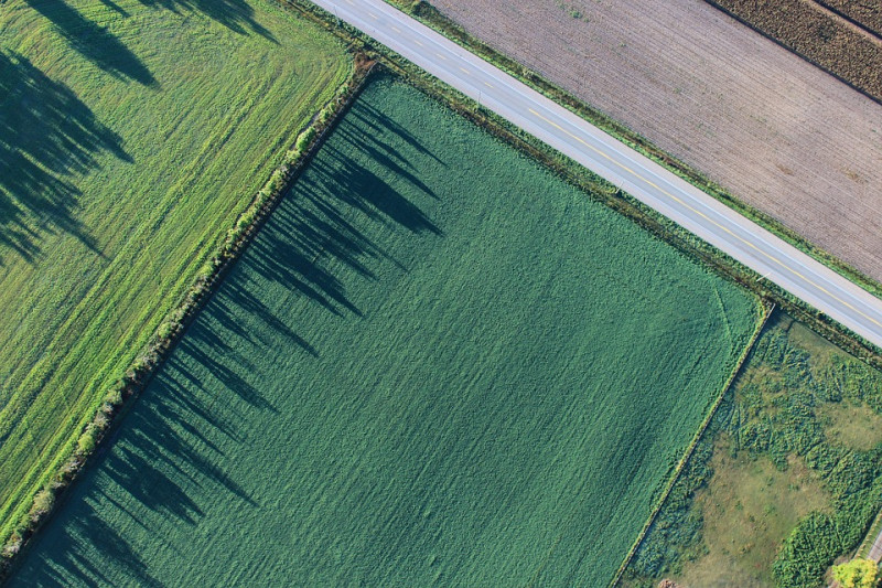 Foto - Tipologia In Vendita Borgo Veneto