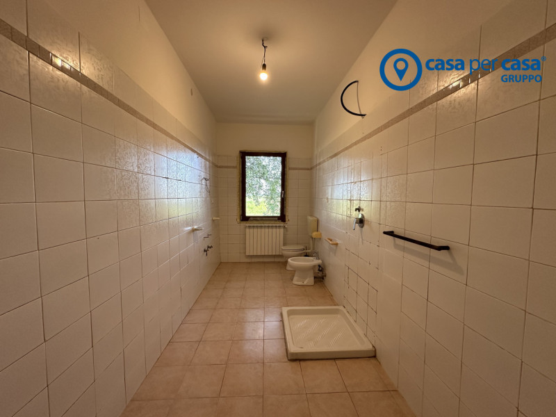 Casa padronale circondata da comfort, tranquillità e tanto verde.

Queste sono le caratteristiche...