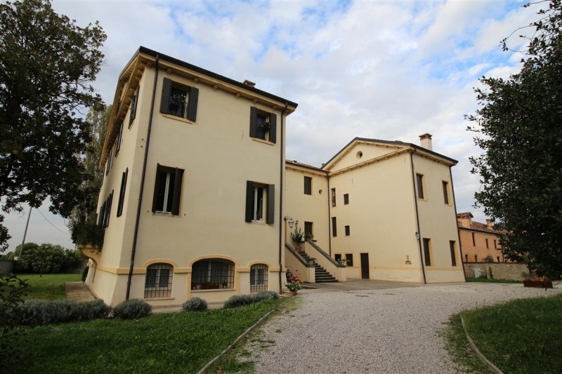 Cervarese Santa Croce Affitto Appartamento