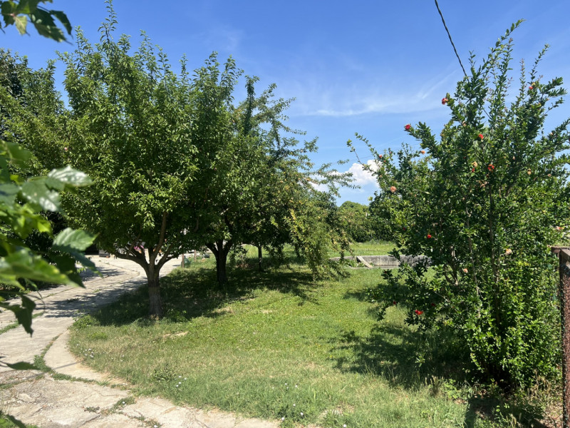 Sarmeola di Rubano (PD):

Immersa nel verde e in una posizione estremamente tranquilla ma strateg...