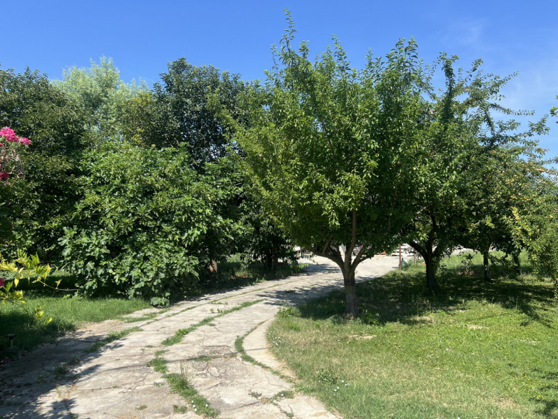 Sarmeola di Rubano (PD):

Immersa nel verde e in una posizione estremamente tranquilla ma strateg...
