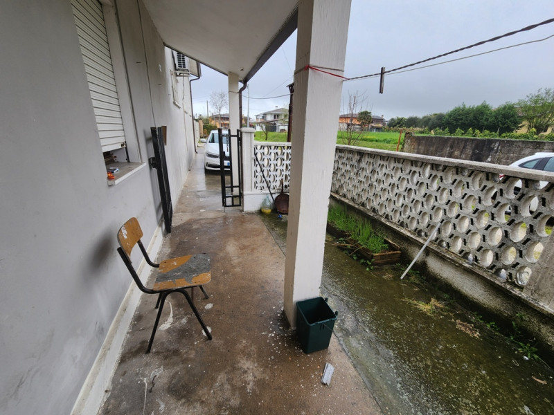 Case, Appartamenti, Ville, Attici, Loft in Vendita a Campolongo Maggiore