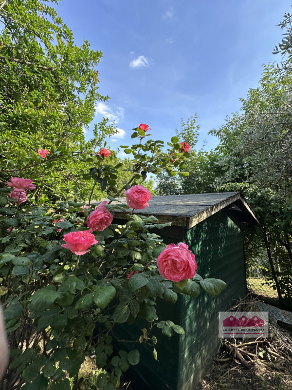 MONTEVIALE COLLINA: SINGOLA MQ. 225 SU 3 LIVELLI, CUCINA ARREDATA ABITABILE. SOGGIORNO, 2 CAMERE,...