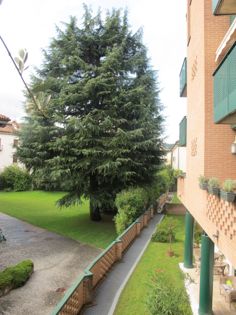 MURE SAN MICHELE: IN ELEGANTE CONTESTO DI RECENTE COSTRUZIONE, PROPONIAMO TRICAMERE PARZIALMENTE ...