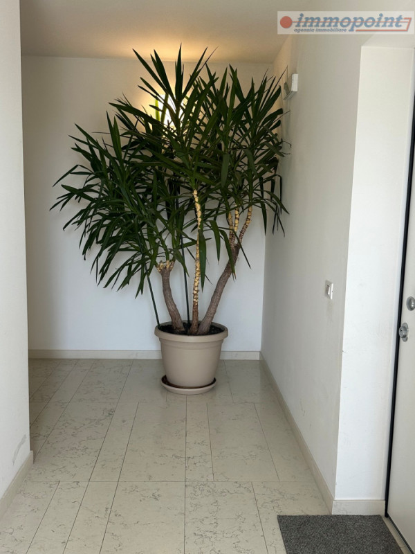 In contesto residenziale di recente costruzione sito in Comune di Cassola - località San Giuseppe...