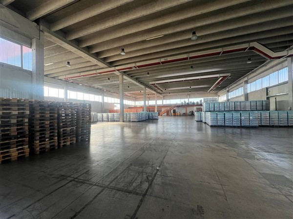 SAN BONIFACIO: Rif. 1308 - C - ANTONIO - Per info 338.4892021 – EUROMEDIA propone in zona industr...