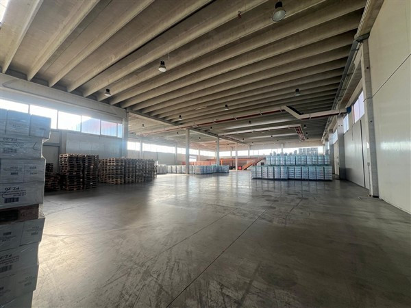 SAN BONIFACIO: Rif. 1308 - C - ANTONIO - Per info 338.4892021 – EUROMEDIA propone in zona industr...