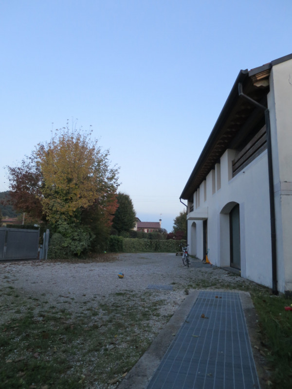 in vendita magnifico attico di circa 300 mq situato nella rinomata zona residenziale di Biadene, ...