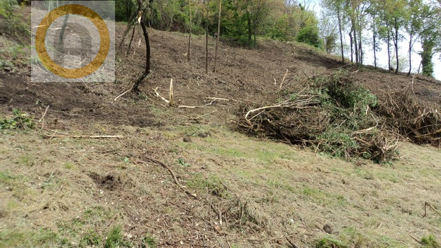 Acquistare un appezzamento di terreno per avviare la propria azienda agricola sta diventando il s...
