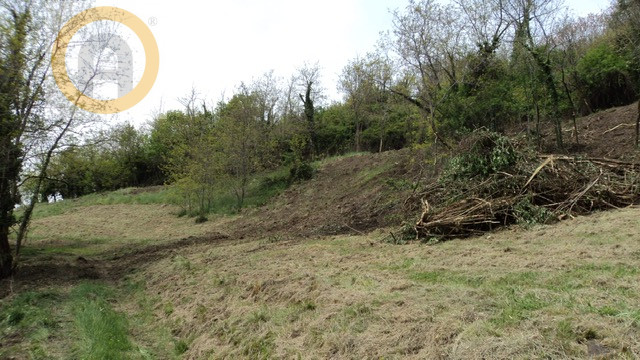 Acquistare un appezzamento di terreno per avviare la propria azienda agricola sta diventando il s...