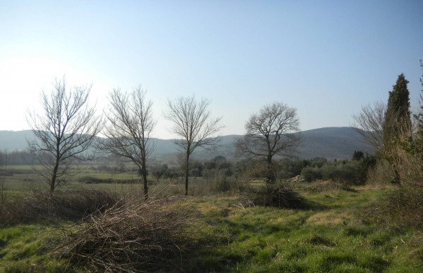 immagine annuncio 6 di 9