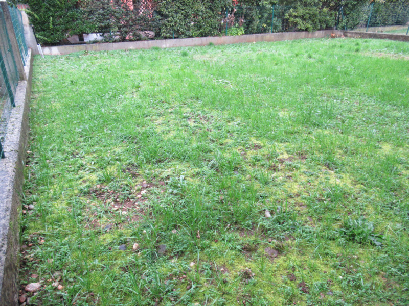 Per informazioni: 335.8345159. A Falzè di Trevignano (TV) in zona residenziale centrale, proponia...