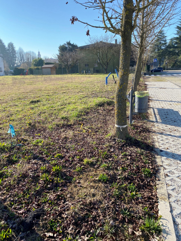 Situato nella zona di San Michele delle Badesse, nel comune di Borgoricco, questo terreno edifica...