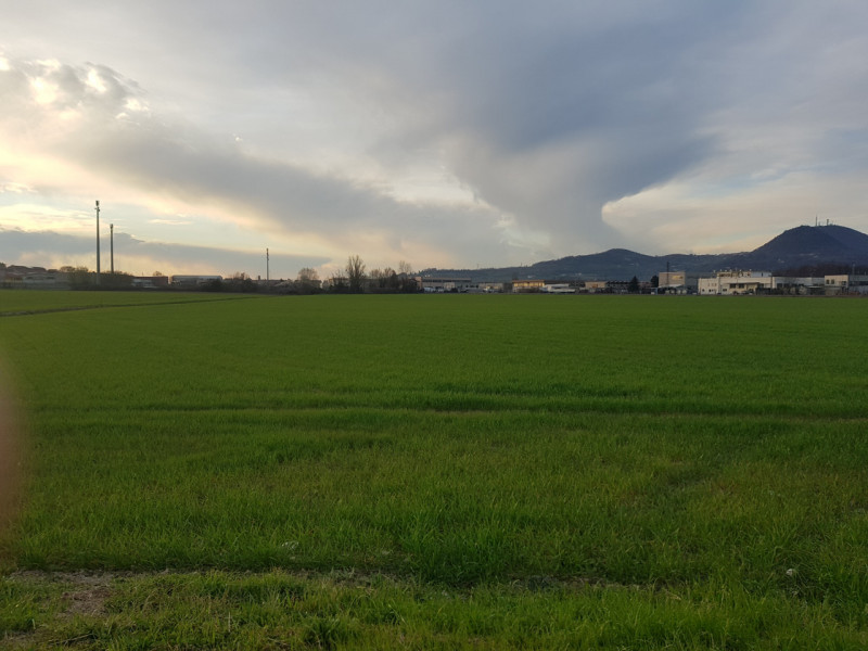 Si propone in Comune di Este esattamente 11.000 MQ. di terreno per attività industriale con la po...