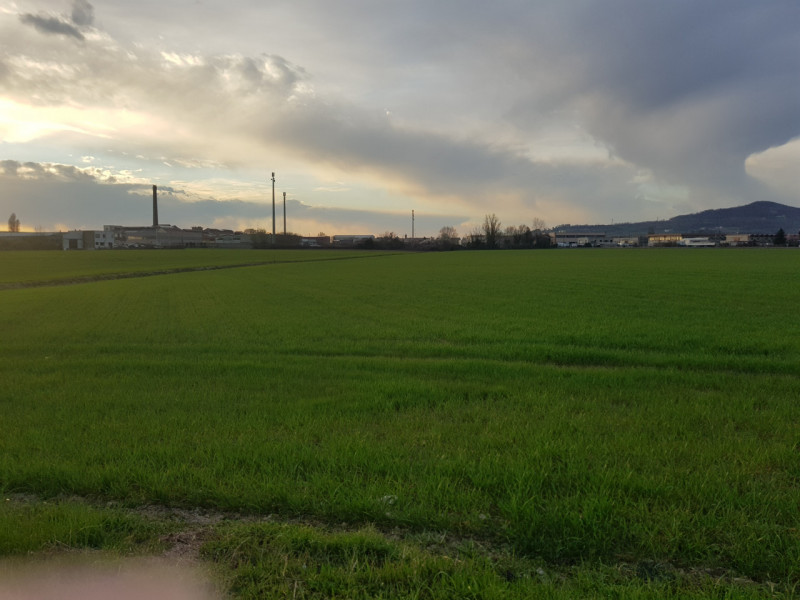 Si propone in Comune di Este esattamente 11.000 MQ. di terreno per attività industriale con la po...