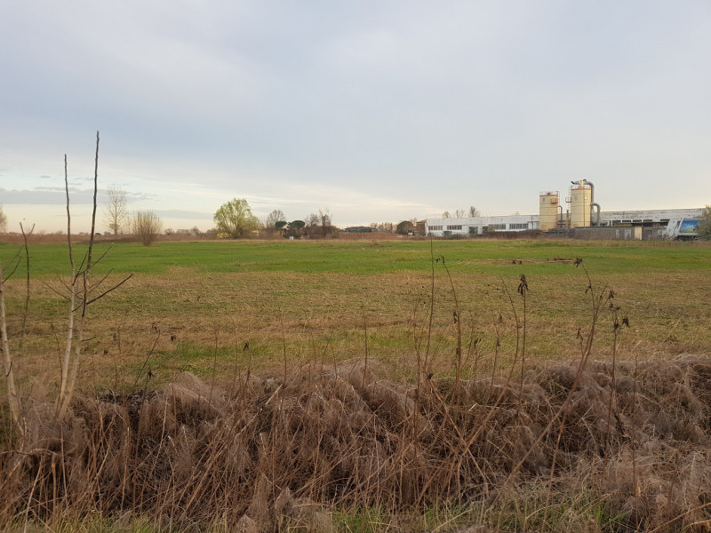 Si propone in Comune di Este esattamente 11.000 MQ. di terreno per attività industriale con la po...