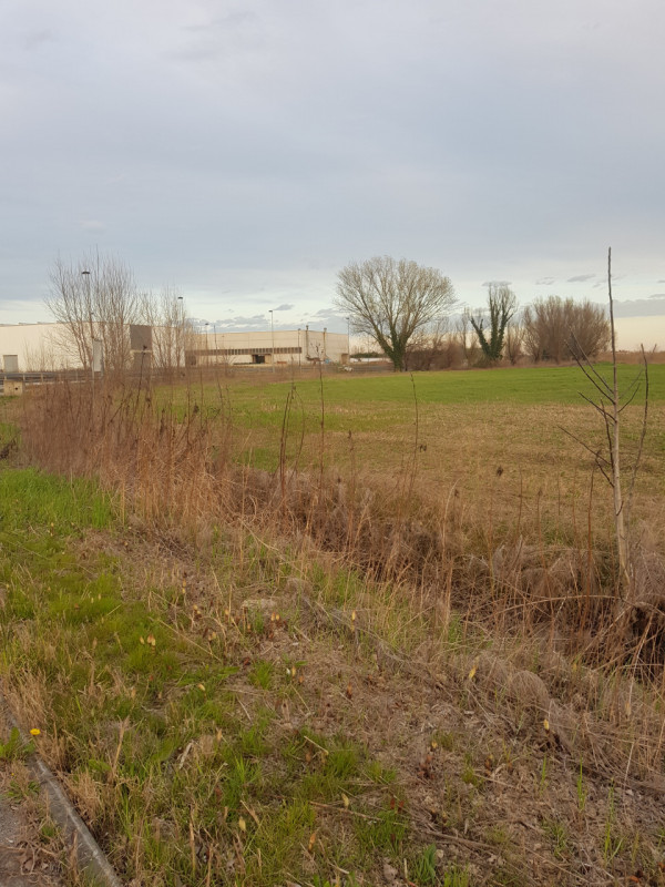 Si propone in Comune di Este esattamente 11.000 MQ. di terreno per attività industriale con la po...