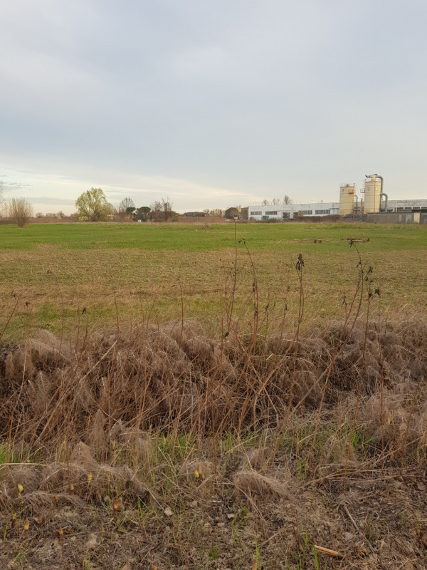 Si propone in Comune di Este esattamente 11.000 MQ. di terreno per attività industriale con la po...