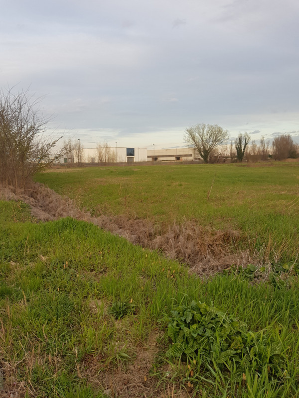 Si propone in Comune di Este esattamente 11.000 MQ. di terreno per attività industriale con la po...