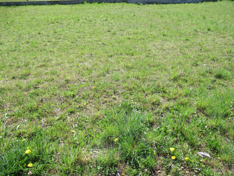 Per informazioni: 335/8345159. A Musano, frazione di Trevignano (TV) proponiamo in vendita terren...